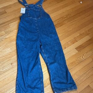 Zara Blue Denim Jumpsuit